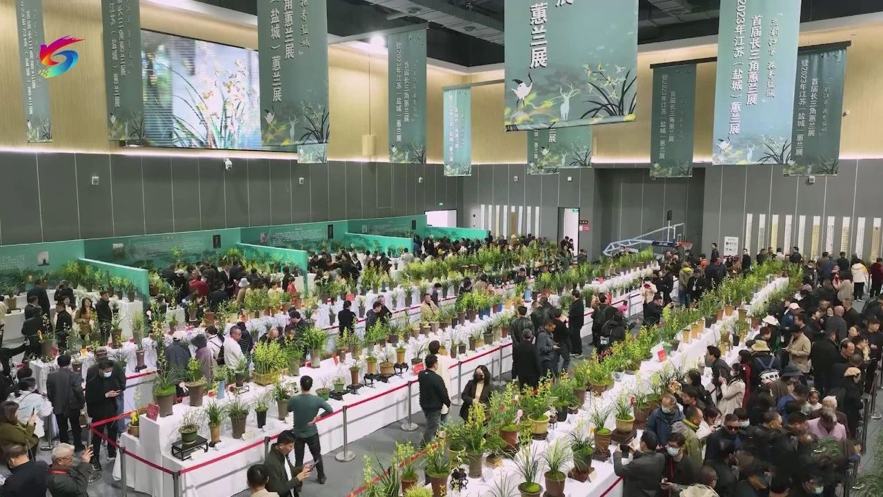 首屆長三角蕙蘭展暨2023年江蘇省(鹽城)蕙蘭展在鹽城鹽龍?bào)w育公園成功舉辦